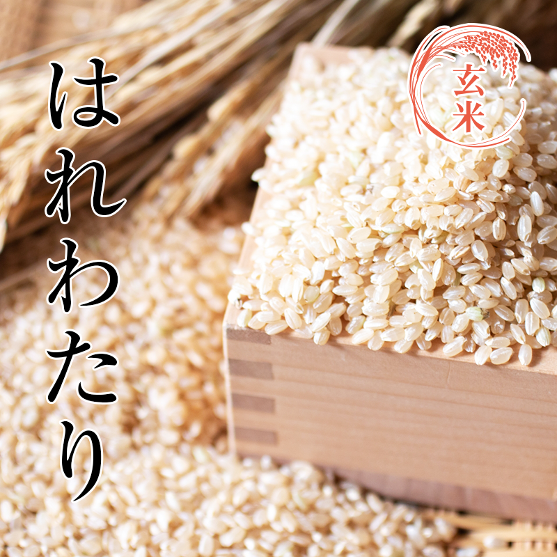 はれわたり（玄米）