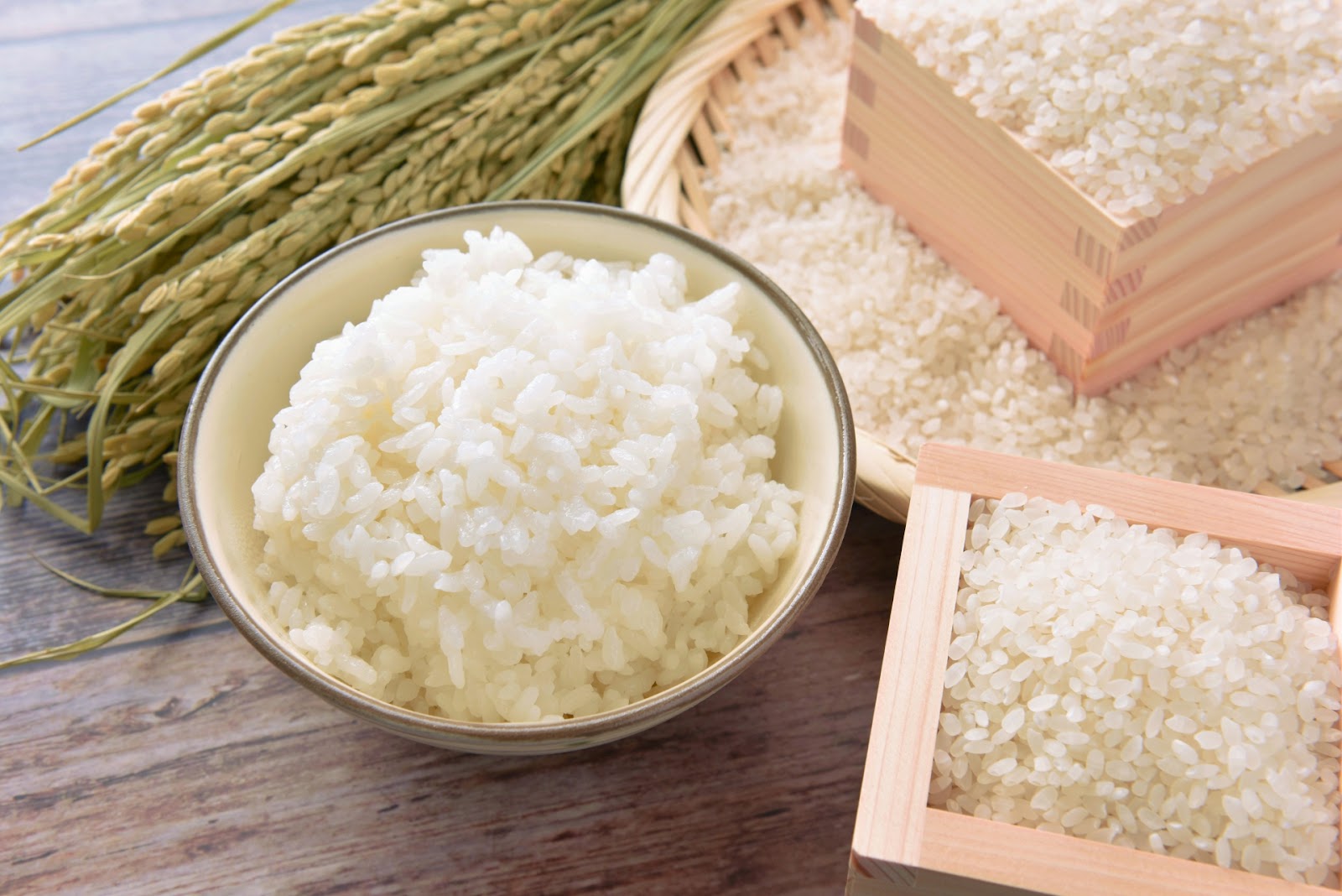 令和6年産　青森県産　あきたこまち（白米）10㎏　昨年の在庫の為、ノークレームノーリターンでお願いします。